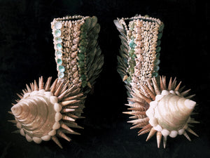Sea Shells - Skins Series (Sculpture)