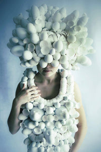 Eggshell Construction (Photo)